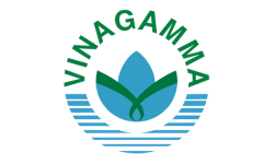 VINAGAMMA